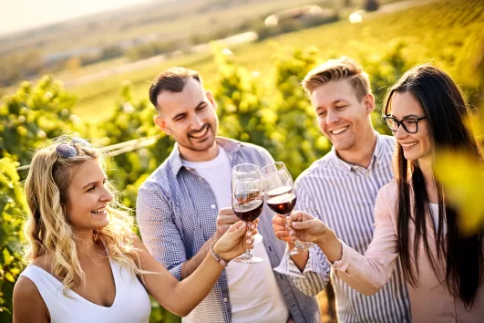 Casablanca Valley Wine Tasting Including 4 Vineyards